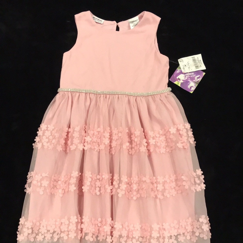 Brand new Blueberi boulevard little girl Princess Dress